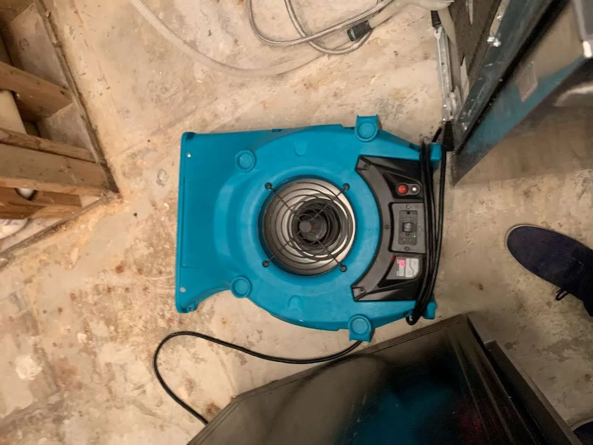 Air mover drying equipment for Mold Remediation & Removal in Avon